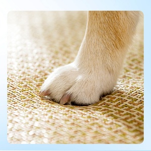 Anti-Fangen weiche langlebige Sommerkühlung Haustiermatte Hundeneismatte Bett Rattan Hundekohlematte - Product Image 5