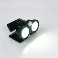 Lampe solaire LED COB à capteur de lumière intelligent, à large faisceau, à monter sur piquet ou mur, pour l'aménagement paysager extérieur, jardin et éclairage décoratif de cour