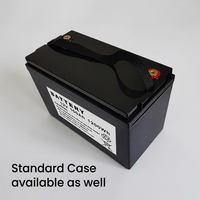 Batterie LiFePO4 12,8 V 100 Ah pour stockage d'énergie domestique, système solaire, alimentation de secours pour véhicules électriques, personnalisable en différentes tailles