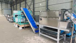 Ligne de pelage <span class=keywords><strong>d</strong></span>'<span class=keywords><strong>ail</strong></span> à conception modulaire avec capacité personnalisable, système de pelage <span class=keywords><strong>d</strong></span>'<span class=keywords><strong>ail</strong></span> automatisé pour le traitement et l'exportation de l'<span class=keywords><strong>ail</strong></span> - Product Image 4