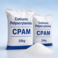 Polyacrylamide Cationique CPAM en Poudre pour le Traitement des Eaux Usées Industrielles, Pureté 99%, Marque Zhendong