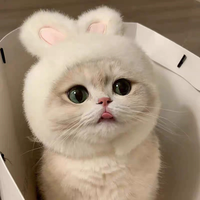 Costume de chat en gros avec chapeau, vêtements pour animaux de compagnie en coton et fausse fourrure, pull avec chapeau pour chat