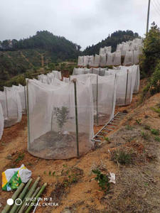 Jaring Pelindung Pohon Jeruk 36*60 Inci, Penutup Bibit Pohon, Kantong Jaring Anti Serangga untuk Perlindungan Pohon Kebun - Product Image 5