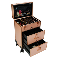 Chariot cosmétique beauté valises maquillage sac de voyage étui noir femmes extérieur roulettes fixes Profession aluminium bagages aluminium