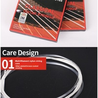 Alice AC168 Classical Guitar Strings Set Silver-Plated Copper Nano Polishing Coating Wound Core Custom Logo Nylon Plastic
