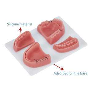 Almohadilla de práctica de sutura para entrenamiento Dental, simulador de dientes, Dental, Ciencia Médica Quirúrgica, directo de fábrica - Product Image 4