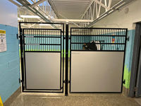 Panneau de séparation de chambre simple portable 4 'x 6' PRO pour garderie de chien en verre et acier inoxydable