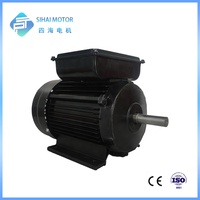 Moteur électrique à induction monophasé série YC, 2 pôles, 250W, 220V, 50Hz, IP44, efficacité IE2, boîtier en fonte, montage sur pied