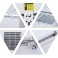 GCSOAR Congélateur 200L à Entraînement Direct Solaire avec Batterie Lithium LiFePO4 Intégrée