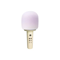 Microphone portable personnalisable OEM ODM pour haut-parleurs sans fil portables mignons à LED RGB, en métal et plastique, entrée AUX, DC 10-30W