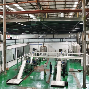 Ligne de Production <span class=keywords><strong>d</strong></span>'<span class=keywords><strong>Huile</strong></span> <span class=keywords><strong>d</strong></span>'<span class=keywords><strong>Olive</strong></span> <span class=keywords><strong>Vierge</strong></span> <span class=keywords><strong>Extra</strong></span> EVOO-1500 1500KG/H en Provenance de Chine - Product Image 3