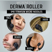 Rouleau de massage facial à 540 micro-aiguilles pour la beauté du visage, le massage du cuir chevelu et les soins de la barbe