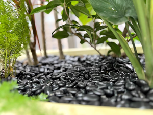 Hot Sale Natural <strong>River</strong> Pebbles Black <strong>Polished</strong> <strong>River</strong> Pebbles Garden Decoration - Product Image 2