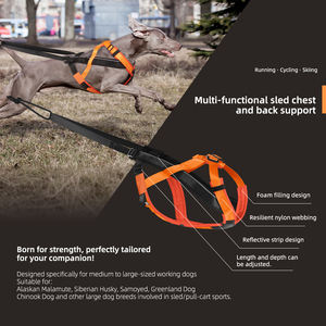 Arnés de Invierno para Perros, Arnés de Trineo para Huskies, para Ejercicio, Trineo, Carrera, Canicross, Scootering, para Perros Medianos - Product Image 4