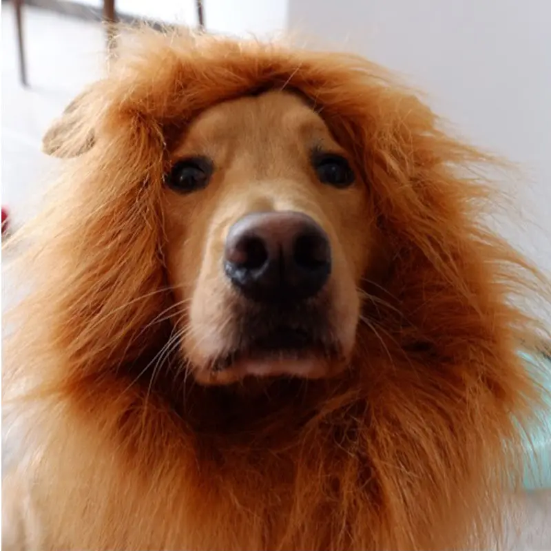 Großhandel OEM Hersteller Haustier Perücke Löwe Mähne Kostüm für kleine große Hunde Festival Party Phantasie Haar Hunde kleidung