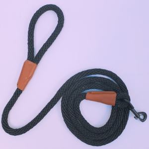 Laisse de traction pour chien avec corde intégrée, pour chien de petite, moyenne et grande taille, laisse fluorescente pour promenade de chien - Product Image 1