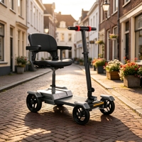 Nouvelle arrivée, scooter pliable léger et portable pour l'extérieur, fabriqué en usine OEM, facile à plier, capacité de 120 kg, scooter de mobilité pour personnes âgées