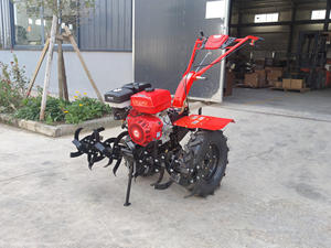 Mini motoculteur à main haute performance essence scie <span class=keywords><strong>bon</strong></span> marché rotoculteur essence essence motoculteur pour ferme - Product Image 2