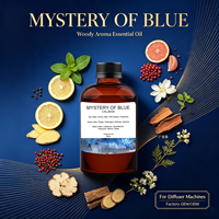 Produit Tendance 2026 Huiles Essentielles Diffuseur d'Huile Sans Eau Mystère de l'Eau Bleue Parfum d'Ambiance Aromatique pour la Maison