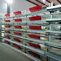 Nouvelle cage d'élevage de cailles automatique de haute qualité de type H avec fil galvanisé et élimination automatique du fumier