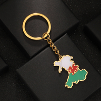 Fabricant émaillé Pays de Galles Drapeau Charm Porte-clés en acier inoxydable plaqué or 18 carats émail Équipe Pays de Galles Carte Pendentif Porte-clés
