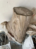 Grande coupelle en bois fossile naturel poli, morceaux de bois pétrifié, décoration tendance Tuoxin Lucky Fashion