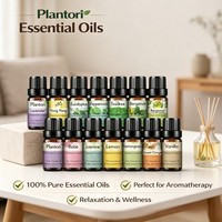 42 senteurs en stock : Huiles essentielles bio à base de plantes, hydrosolubles pour diffuseurs, diffuseur d'huiles essentielles 10 ml