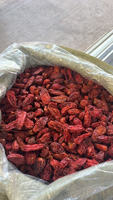 Piment séché du Sichuan de qualité supérieure sélectionné, épice alimentaire, matière première, Chine Guangxi, emballage personnalisé OEM