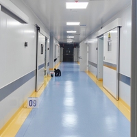 Pintu Geser Cleanroom Sarang Lebah GMP untuk Laboratorium Rumah Sakit, Pintu Keamanan Medis Baja Anti Karat Modern dengan Insulasi Suara
