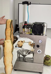 Automatique 304 Acier Inoxydable Pain Mangue Ananas Légumes Noix De Coco Trancheuse Éplucheur Machine Facile à Utiliser 380V - Product Image 3