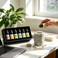 Ensemble d'huiles essentielles pures en marque privée, 6 pièces, 10 ml, extrait de plantes naturelles, kit d'aromathérapie pour le soin du corps, vente en gros OEM en vrac