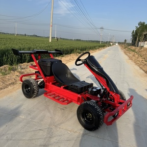750W 48V Go-Kart for Adults with 20Ah Battery BLDC Motor Shaft Drive Buggy Outdoor Use 200kg Load 70km/h - Product Image 1