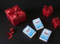 Pabrik OEM Grosir Tisu Saku Tisu Dompet 3-lapis 2-lapis 4-lapis Pasokan Tisu dalam Jumlah Besar