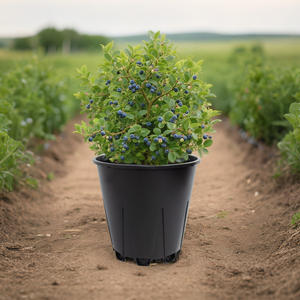 25 एल ब्लूबेरी नर्सरी कंटेनर बगीचे या घर की खेती के लिए जल निकासी के साथ बड़े बर्तन - Product Image 5