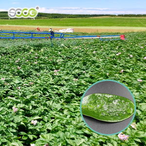 Qingdao <span class=keywords><strong>Soco</strong></span> Gel d'enracinement des plantes utilisé pour la culture de légumes Hidrogel Agricola - Product Image 5
