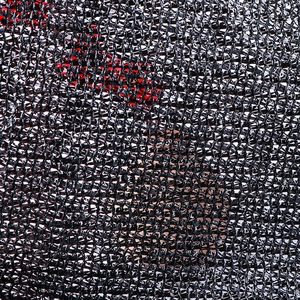 <span class=keywords><strong>Rete</strong></span> <span class=keywords><strong>Ombreggiante</strong></span> Verde Scuro con Occhielli Blu 3x50M Resistente ai Raggi UV per Uso Agricolo e Giardinaggio - Product Image 5