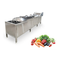 Plantaardige groente- en fruitwas-, reinigings- en blancheringsmachine plan