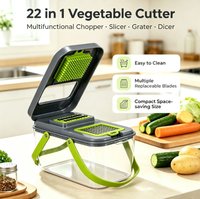Multifunctionele voedsel- en groentesnijder, uienhakker, -slicer, -rasp, -snijder en -schaaf voor fruit, groenten en keukenkookgerei