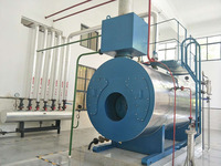Boiler Tabung Api Horizontal Tekanan Tinggi Industri 1-20T Generator Uap Minyak Gas Listrik untuk Lini Produksi EPP
