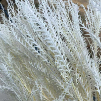 Ranting Rumput Daun Bulu Seribu yang Diawetkan untuk Dekorasi Pernikahan, Panicum Capillare Kering Sentuhan Asli, Perlengkapan Bunga Hijau