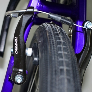 Bicicletas Completas de Carreras <span class=keywords><strong>BMX</strong></span> de 20 Pulgadas Micro/<span class=keywords><strong>Mini</strong></span>/Junior/<span class=keywords><strong>Pro</strong></span> Fabricadas con Horquilla de Fibra de Carbono - Product Image 5