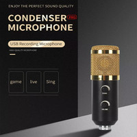 Microphone de studio professionnel à condensateur USB BM838, ensemble de microphone d'enregistrement, microphone de karaoké pour enfants, microphone et haut-parleur de karaoké, PC vocal
