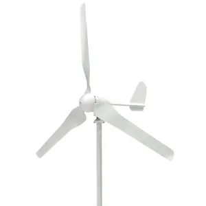 300w Wind Turbine Rooftop High Efficiency Price Alternative Energy Generators Wind Turbine