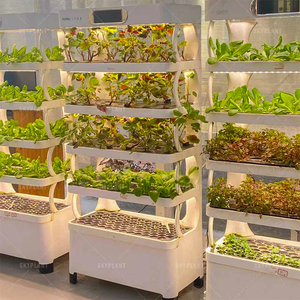 Skyplant, Máquina Hidropónica Vertical para Granjas Inteligentes, Cultivo de Alta Calidad en Interiores, Estante Vertical para Vegetales - Product Image 4