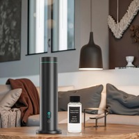 Diffuseur d'arômes sans eau professionnel avec logo personnalisé, boîtier en alliage d'aluminium de 120 ml de grande capacité, avec minuterie pour une utilisation en espace commercial