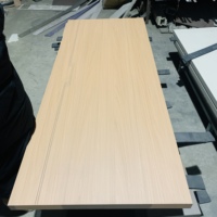 Porte intérieure de chambre en bois de qualité supérieure, design moderne à panneaux, coupe-vent, prête à l'emploi, option pré-montée pour usage en hall de supermarché