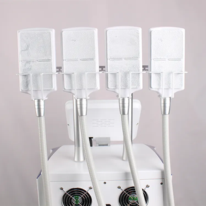 Máquina de Adelgazamiento Criogénica EMS RF sin Vacío, 4 Almohadillas Criogénicas, Reducción de Grasa y Contorno Corporal - Product Image 3