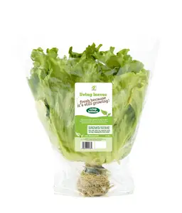 Customized Printing Plastic Biodegradable Food Grade Material Fresh Lettuce Sleeves CPP Bags