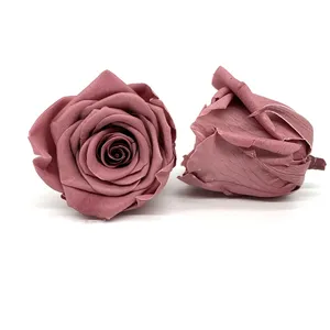 Carina保存鲜花永远保留玫瑰头4- 5厘米真正的玫瑰