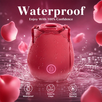 Vibrateur stimulateur clitoridien et mammaire en silicone rose étanche pour femme, rechargeable par USB, 10 fréquences